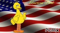 American Bird animovaný GIF