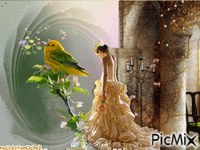 femme et l Oiseau animeret GIF