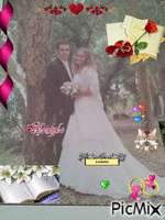 Le Mariage de Sandra et Christophe κινούμενο GIF