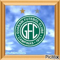 FC GUARANI - FOOTBALL TEAM - Zdarma animovaný GIF
