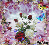 encadrement fleurie. animēts GIF