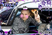 asexual billy corgan Animated GIF