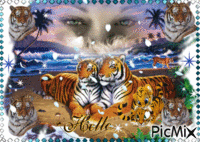 un regard sur les tigres animoitu GIF