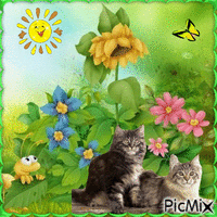 2 Katzen und Blumen - GIF เคลื่อนไหวฟรี