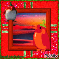 {{Red Hot Chilli Penguin}} 动画 GIF