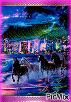 Horses - Bezmaksas animēts GIF
