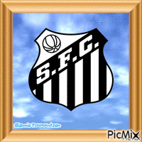 FC SANTOS - FOOTBALL TEAM - Nemokamas animacinis gif