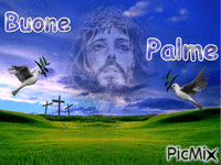 palme - Zdarma animovaný GIF