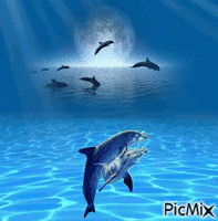 delfín - Ilmainen animoitu GIF