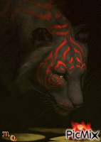 Glowing Tiger - Besplatni animirani GIF
