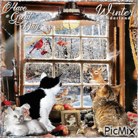 Have a Great Day. Winter. Window, cats - GIF animado gratis