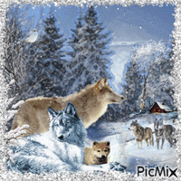 Les loups en hiver - Бесплатный анимированный гифка