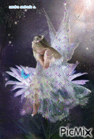 fairy tails - Zdarma animovaný GIF