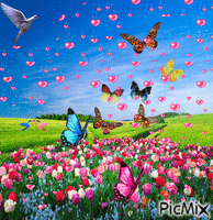 paisaje mariposas - Ingyenes animált GIF
