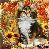 Autumn Cat GIF animé