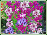 Kwiatowy misz-masz. - Ücretsiz animasyonlu GIF