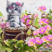 Cat and pink flowers - Free animated GIF