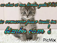 le chat - Bezmaksas animēts GIF