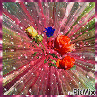 Rózsák animált GIF