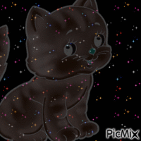 CAT animovaný GIF