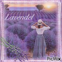 Provence animirani GIF
