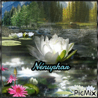 Nénuphar - Nemokamas animacinis gif