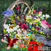 , flowers, birds, butterflies, all around an old broken wagon wheel - Besplatni animirani GIF