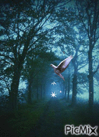 La Sente Lumineuse - Ingyenes animált GIF