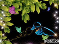 Volar de mariposas - GIF animé gratuit