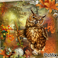 fantasy owl GIF animé