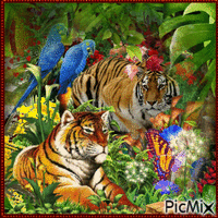 animaux exotiques - Free animated GIF