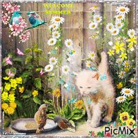 Welcome Summer. Cat, birds and butterflies - Бесплатни анимирани ГИФ