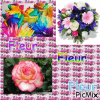 Fleur - 無料のアニメーション GIF