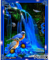 Waterfall in blue. animovaný GIF