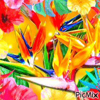 Fleurs exotiques - GIF animé gratuit