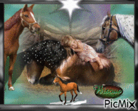 Les chevaux animovaný GIF