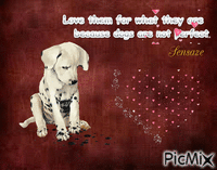 Love all dogs - GIF animasi gratis
