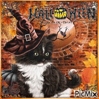 Halloween chat 🎃 - GIF animé gratuit