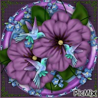 Flowers and Hummingbirds-RM-093-22-23 - Ingyenes animált GIF