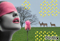 Vrouw met rois herten en vlinders - GIF animado grátis