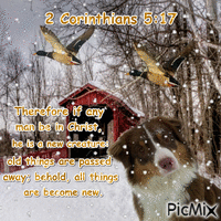 2 Corinthians 5:17 - GIF animate gratis