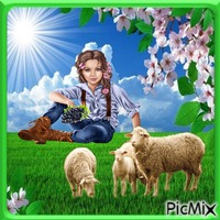 Kleines Mädchen mit Schafen GIF animé