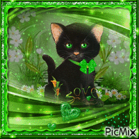 Green and cat GIF animé