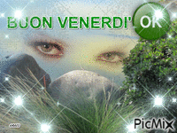 BUON VENERDÌ - 無料のアニメーション GIF