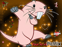 Giff Picmix Kim Possible Rufus créé par moi - Nemokamas animacinis gif
