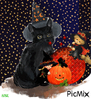 Cat Black animovaný GIF