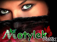 motylek - GIF animate gratis
