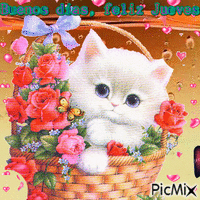 un lindo gatito - Безплатен анимиран GIF