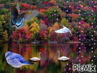 Lago - Darmowy animowany GIF