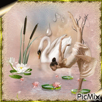 Swan - GIF animado grátis